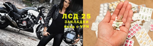 гидра Аркадак