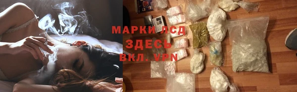 гидра Аркадак