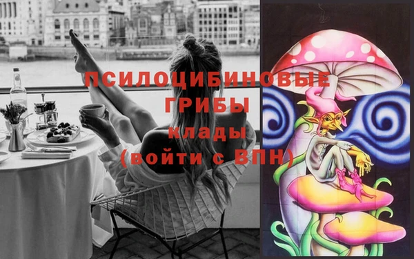 гидра Аркадак