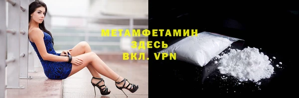 гидра Аркадак