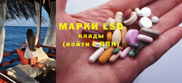 гидра Аркадак